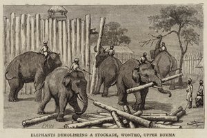 Elephants demolishing a Stockade, Wontho, Upper Burma